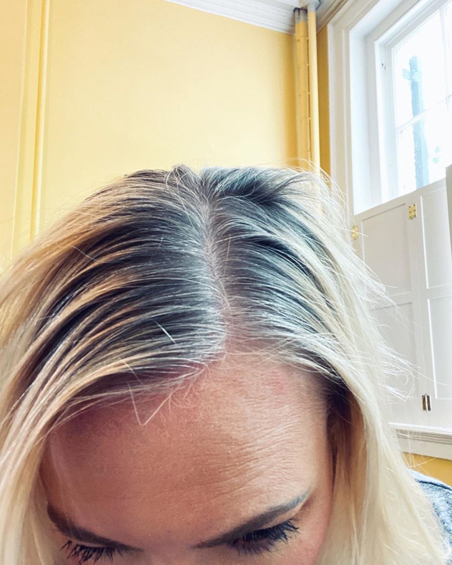 Meghan McCain Snaps a Photo of Her Untreated Roots
