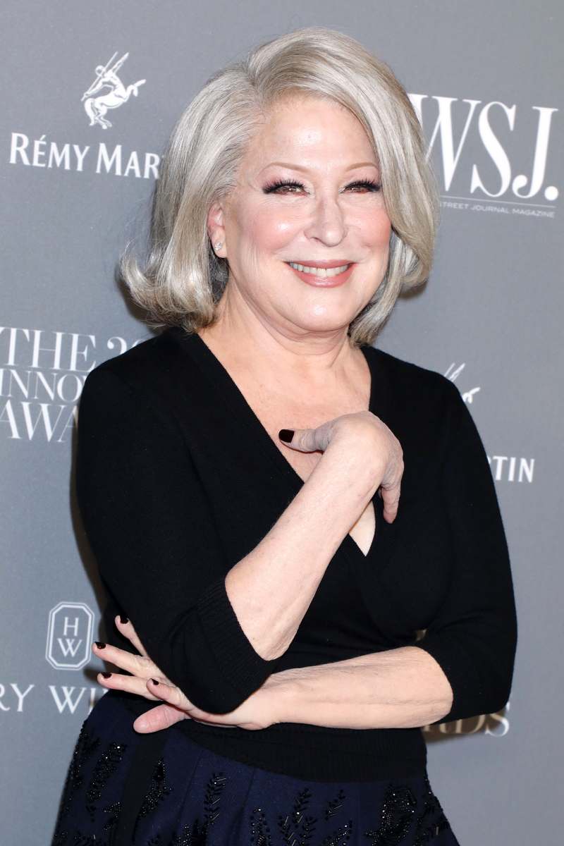 Bette Midler Celebs Support the FreeBritney Movement