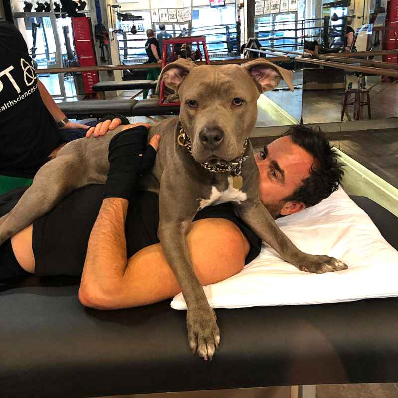 Justin Theroux Launches Instagram Account for His Dog