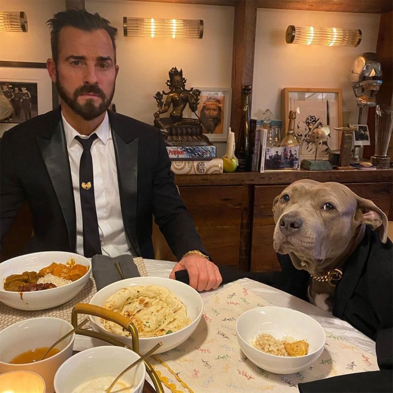 Justin Theroux Kuma Celebrities Who Own Hollywood Most Beloved Pets