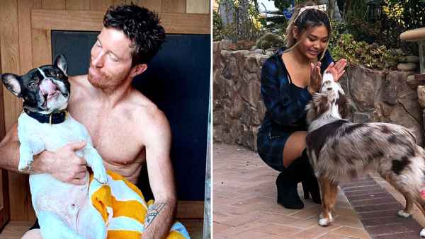 A Complete Guide to Team USA’s Pets