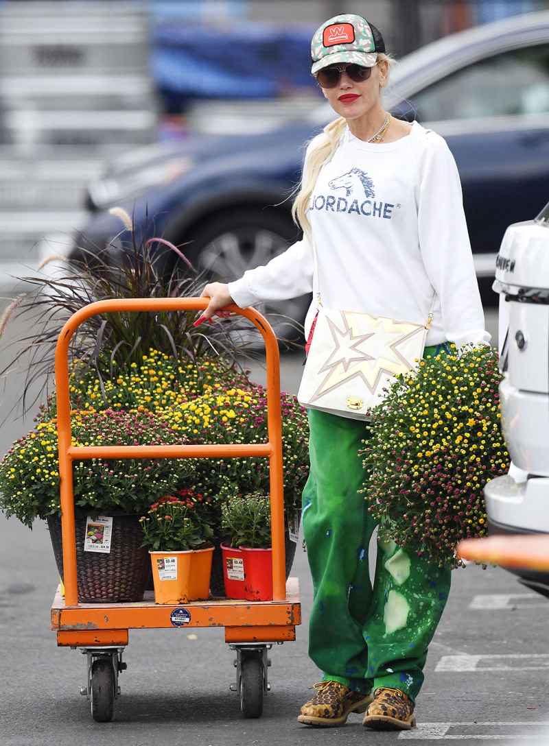Gwen Stefani They Pull Carts Just Like Us