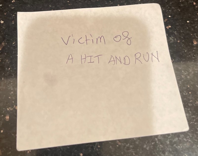 RHOC’s Shannon Beador Was Caught for DUI and Hit-and-Run Accident by Leaking Automobile Fluid