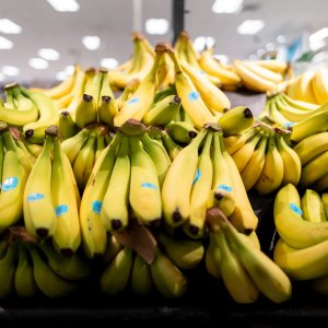 Getty Images - 2275673863 Bananas
