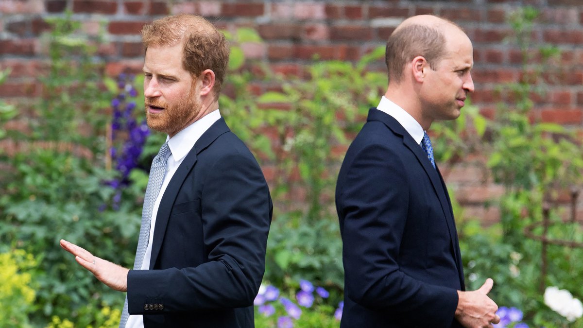 Prince Harry and Prince William Havent Had a Real Conversation in Months