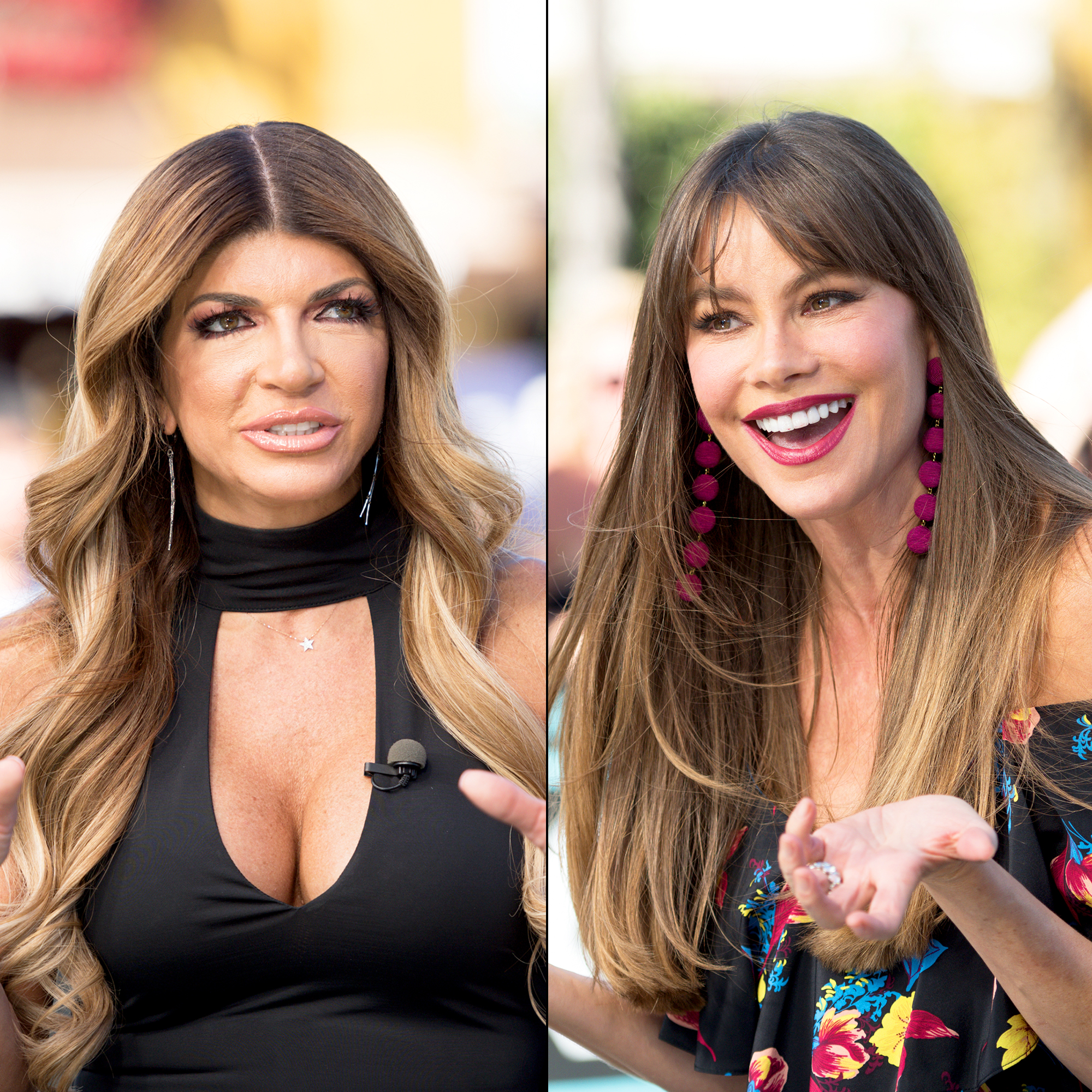 Teresa Giudice Calls Sofia Vergara Rudest Woman She's Ever Met