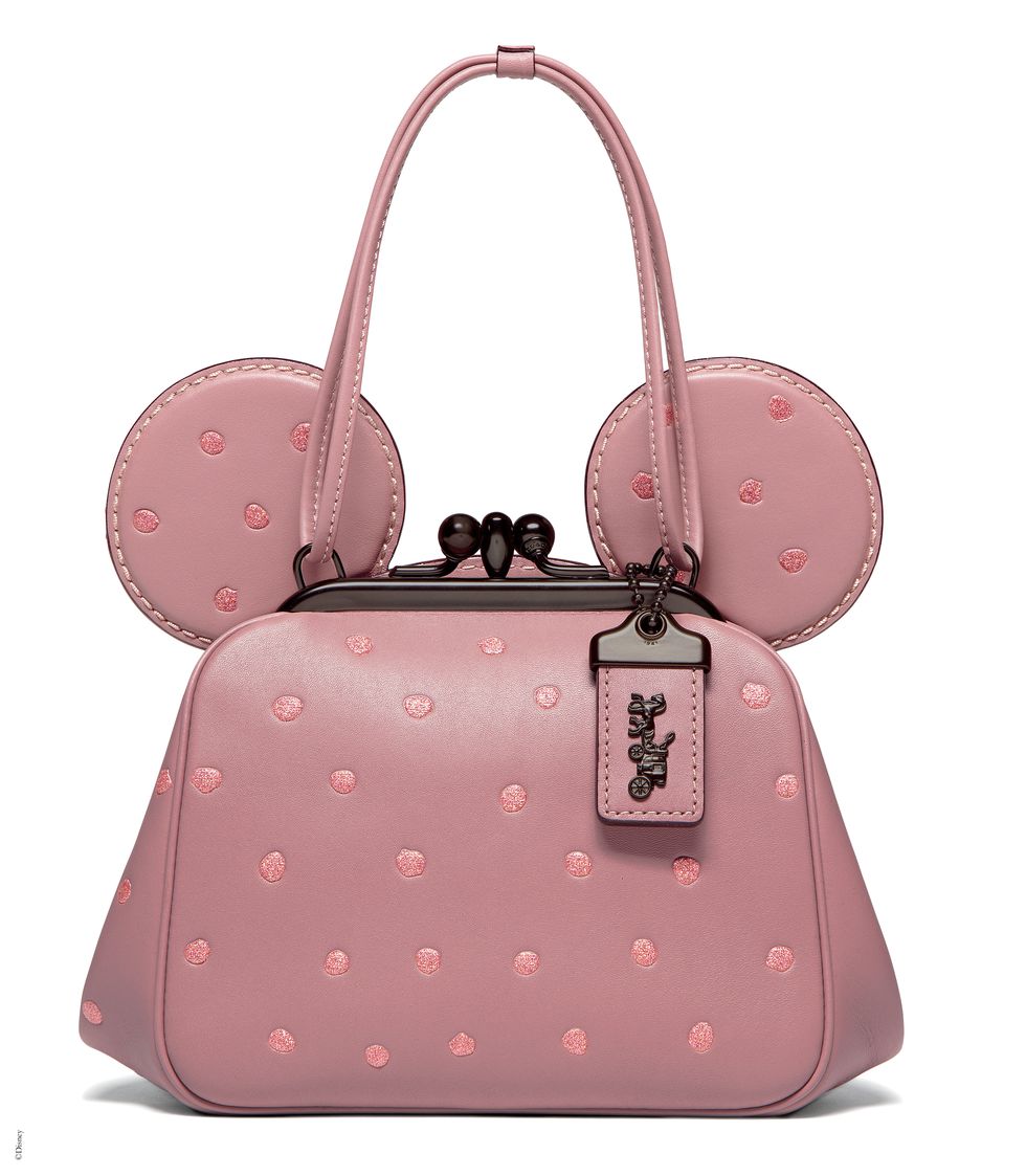 Louis Vuitton Minnie Mouse Airpod Case Briefing