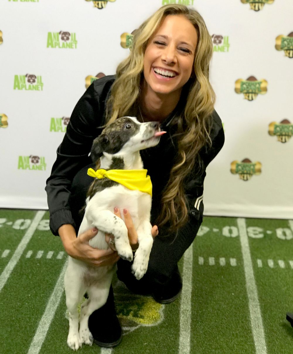 Puppy Bowl XIV