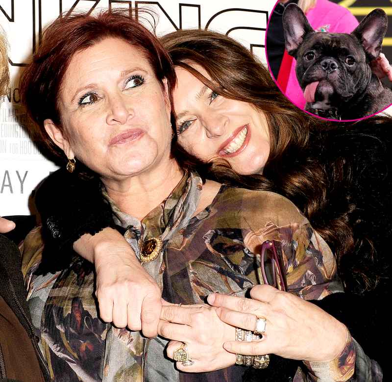 Carrie-Fisher-and-Joely-Fisher-dog-promo