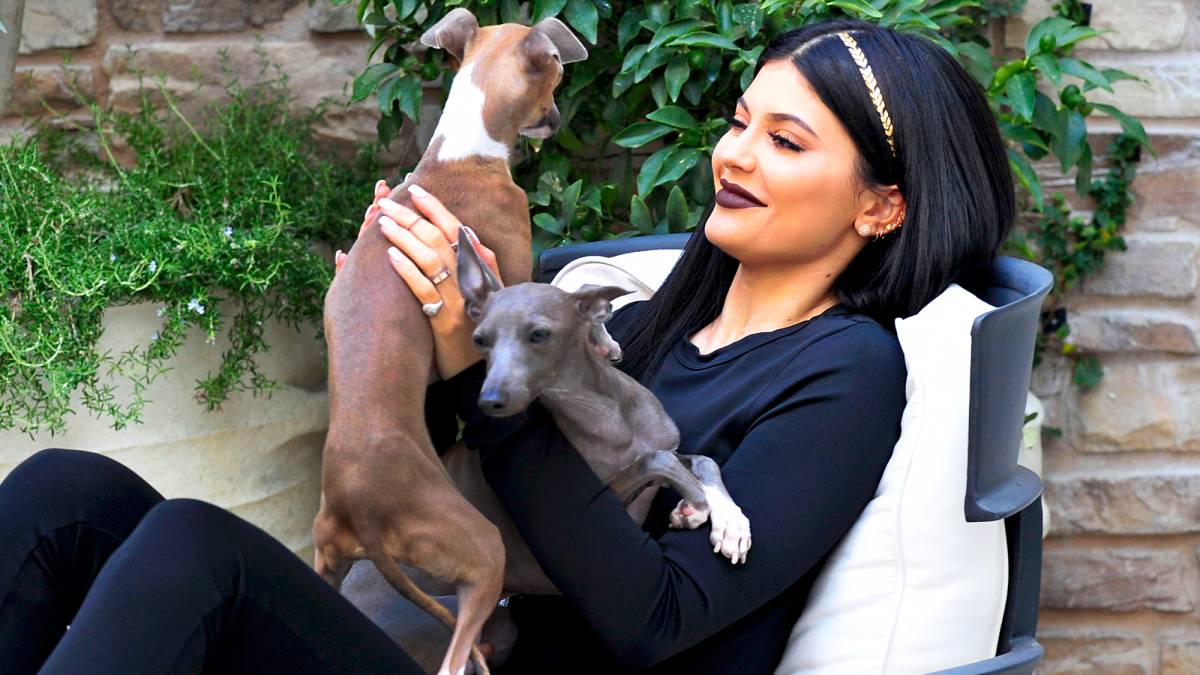 Kylie Jenner Shows Off Her Jaw-Dropping Doghouse