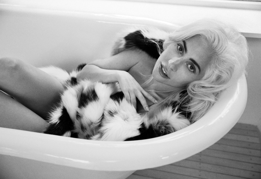 Share A Photo Of Gaga Looking Flawless Gaga Thoughts Gaga Daily