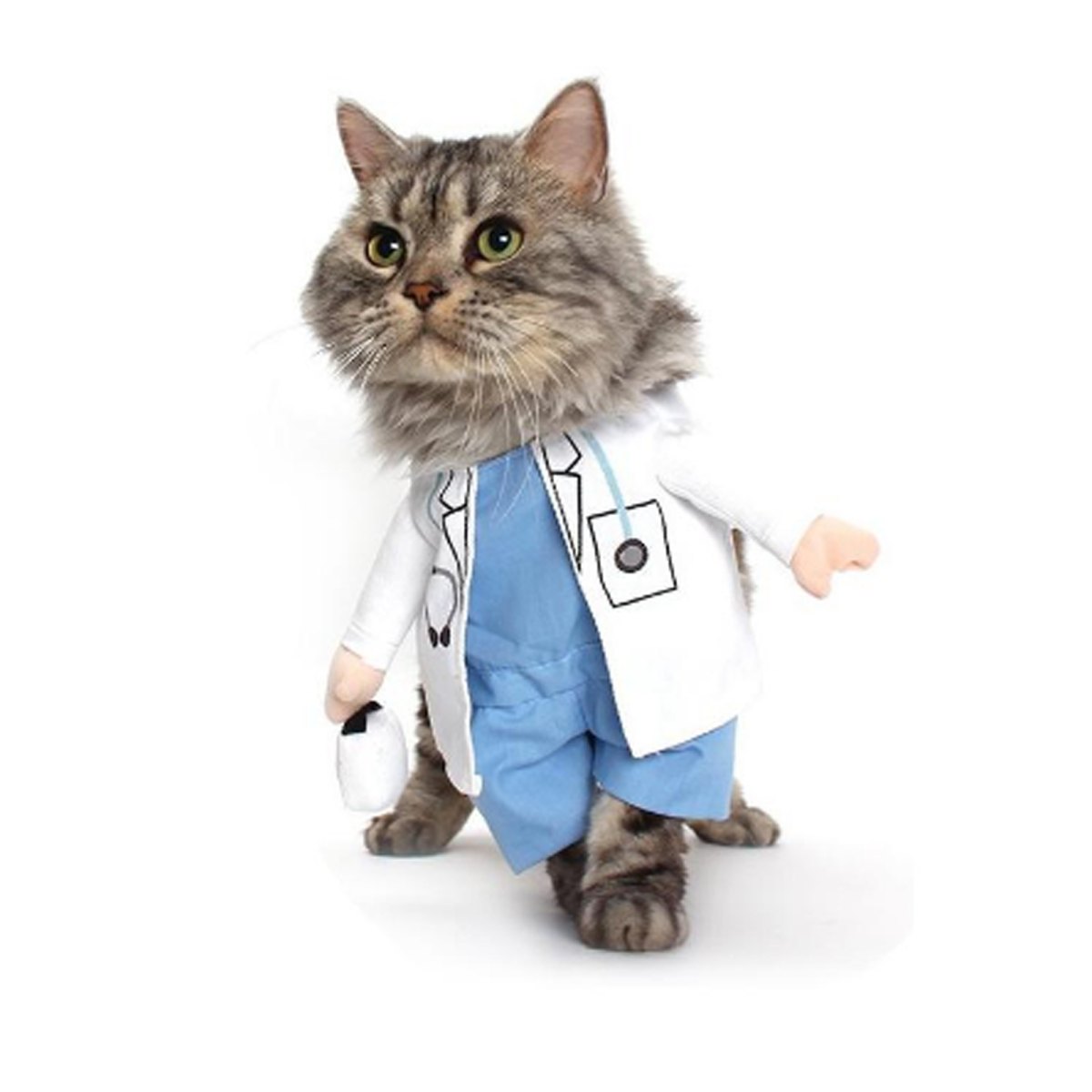 10 Best Pet Costumes – Veterinarians in Leesburg