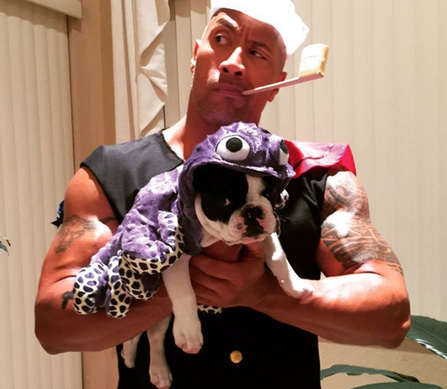 Best Celebrity Pet Halloween Costumes of All Time