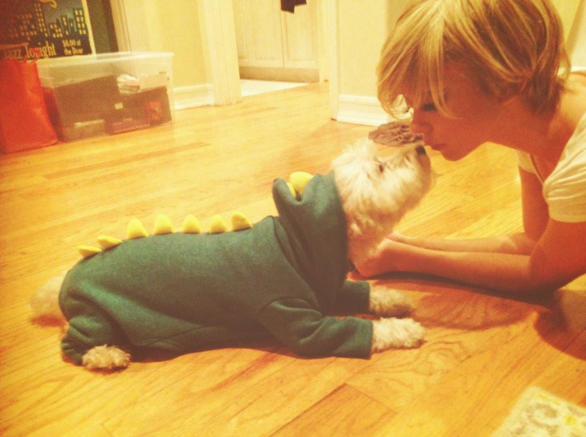 Best celebrity pet Halloween costumes: Reese Witherspoon, Jennifer Garner &  more