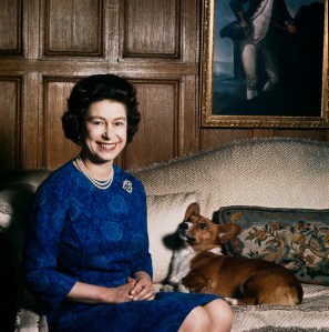 Queen Elizabeth Corgi's Last Murmur Dies at Windsor Castle