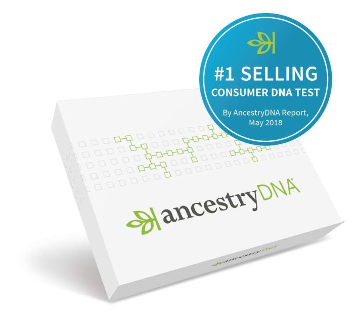 Ancestry Kits Are on Sale for the Holidays to Upgrade Family Time Us