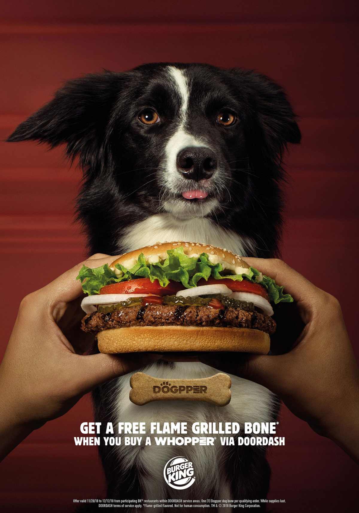 Burger King's newest menu item: Grilled Dogs