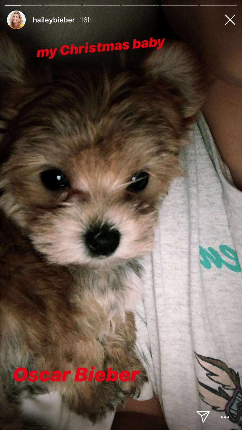 Justin Bieber and Hailey Baldwin Get a Puppy