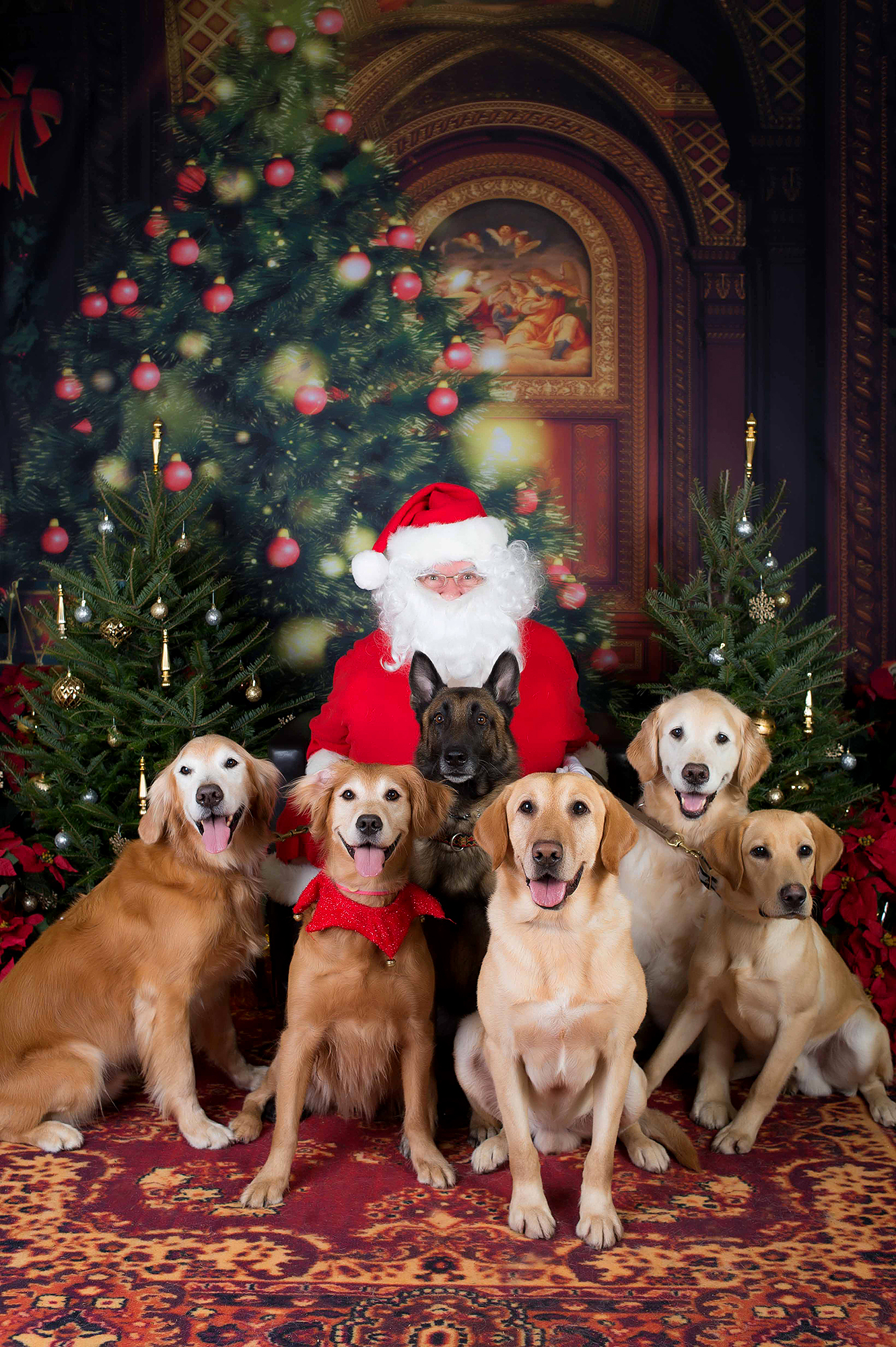 Santa dogs sale