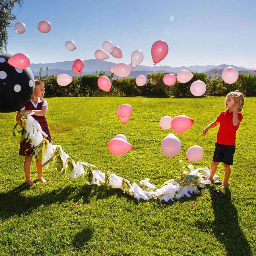 Gender Reveal Party - My Party Hero