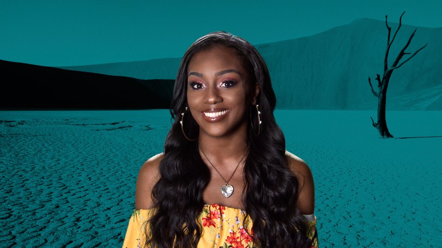 'Challenge' Cast: Meet the Vets and Rookies of Season 33