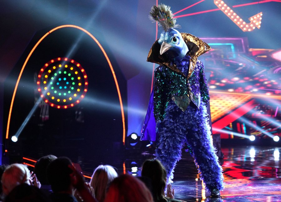 ‘The Masked Singer’ Finale Unveils Every Celeb Photos
