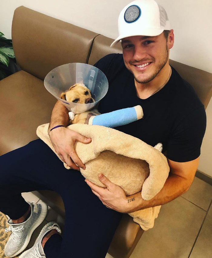 Colton Underwood Cuddles Recovering Rescue Dog Named After Him Us Weekly