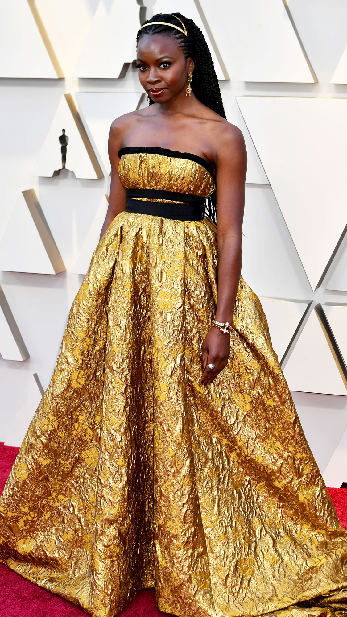 Oscars 2019 red outlet carpet dresses