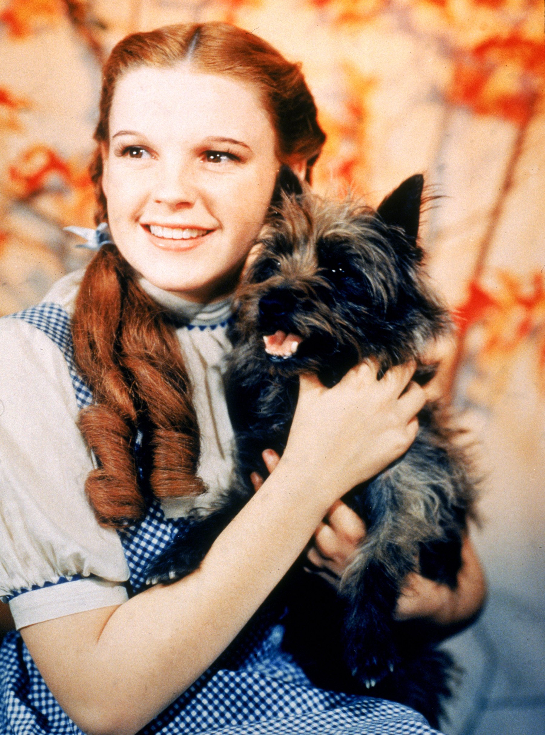 Judy Garland Revisit Her Most Iconic Moments Through The Y