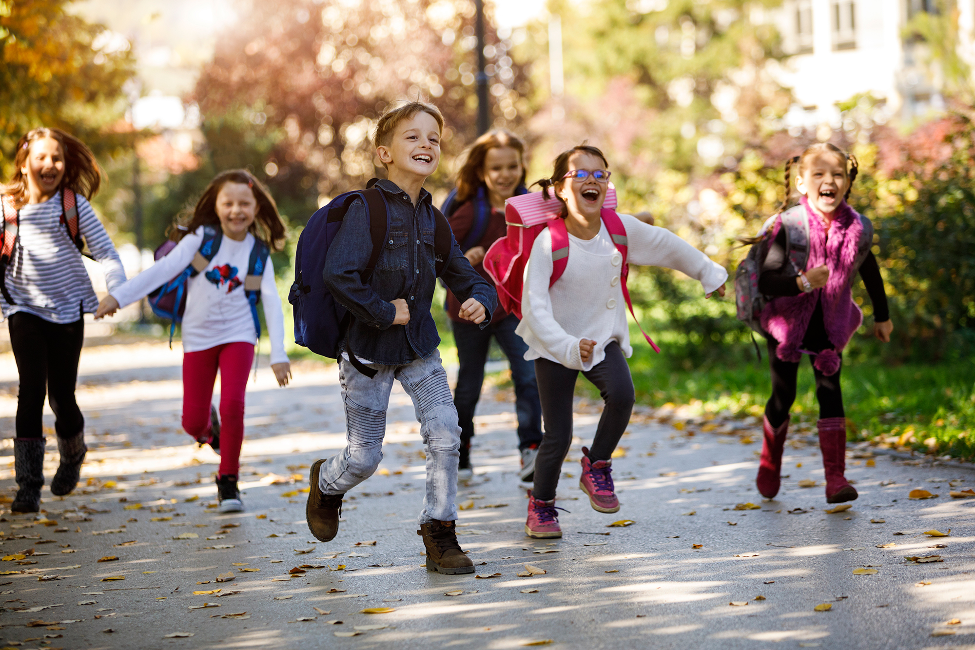 Children goes to school