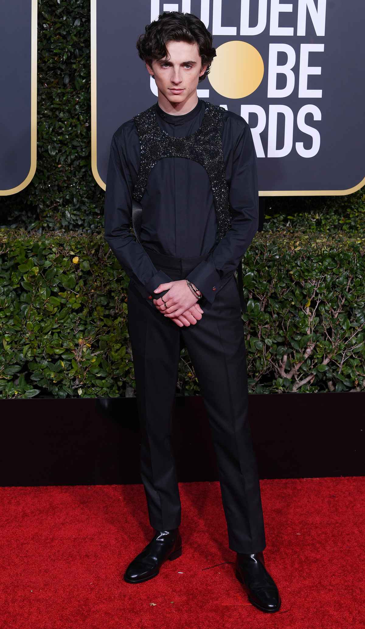 Timothée Chalamet Shakes up the Red Carpet with a High-Fashion