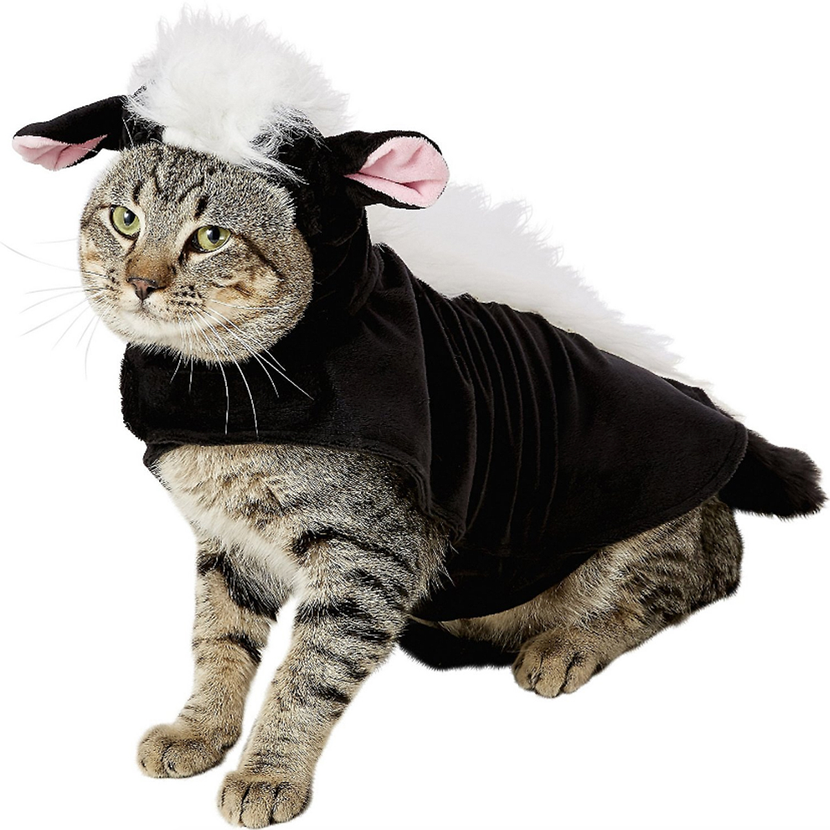 Pet Halloween Costumes