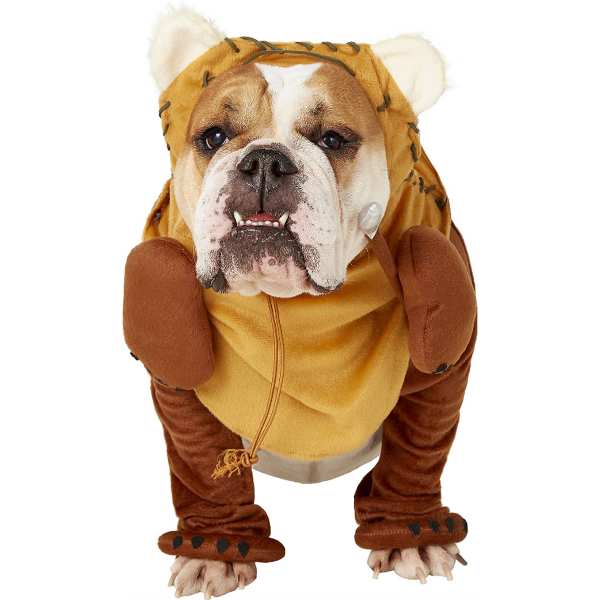 Pet Halloween Costumes: 9 of the Cutest Ever — All on Sale! | Us Weekly