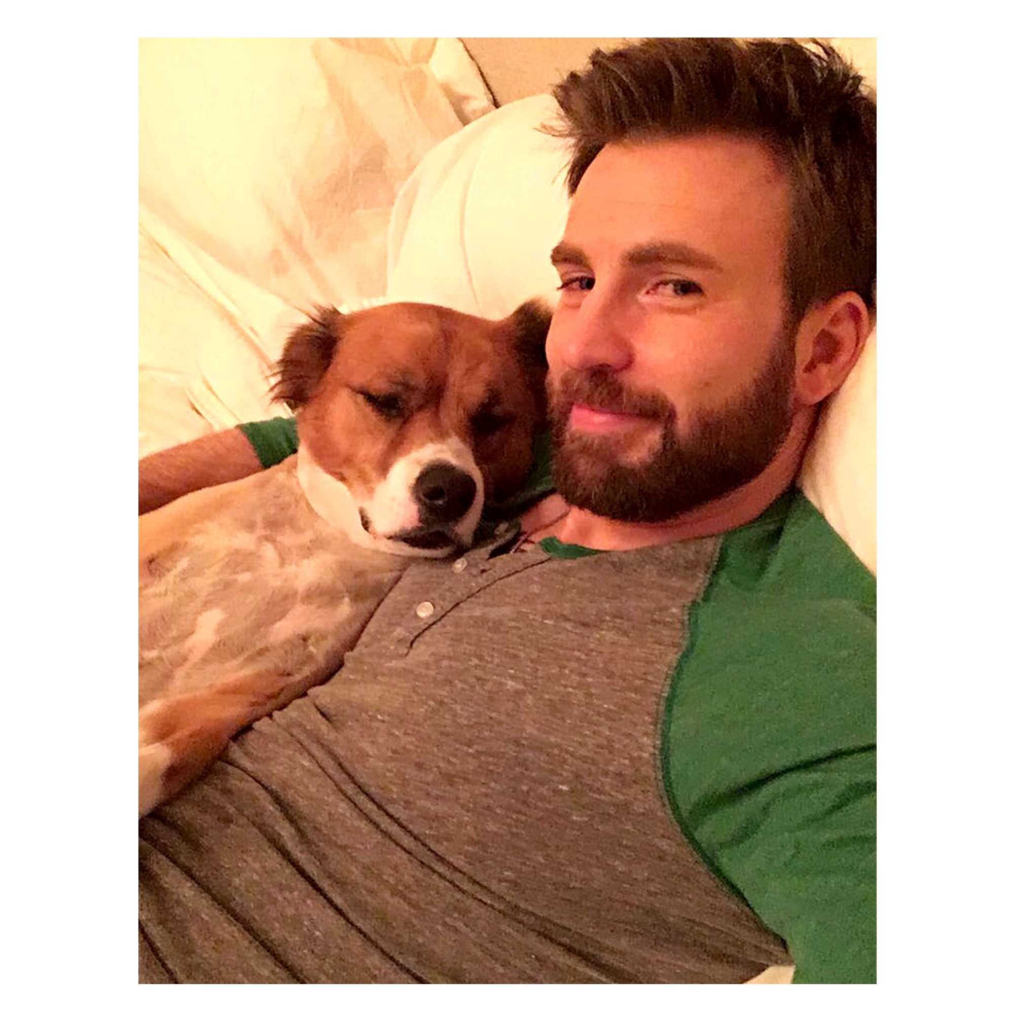 Chris Evans and His Dog Dodger: See Their Pawsome Friendship