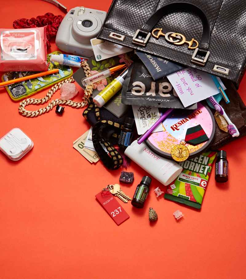 Kesha What's In My Bag