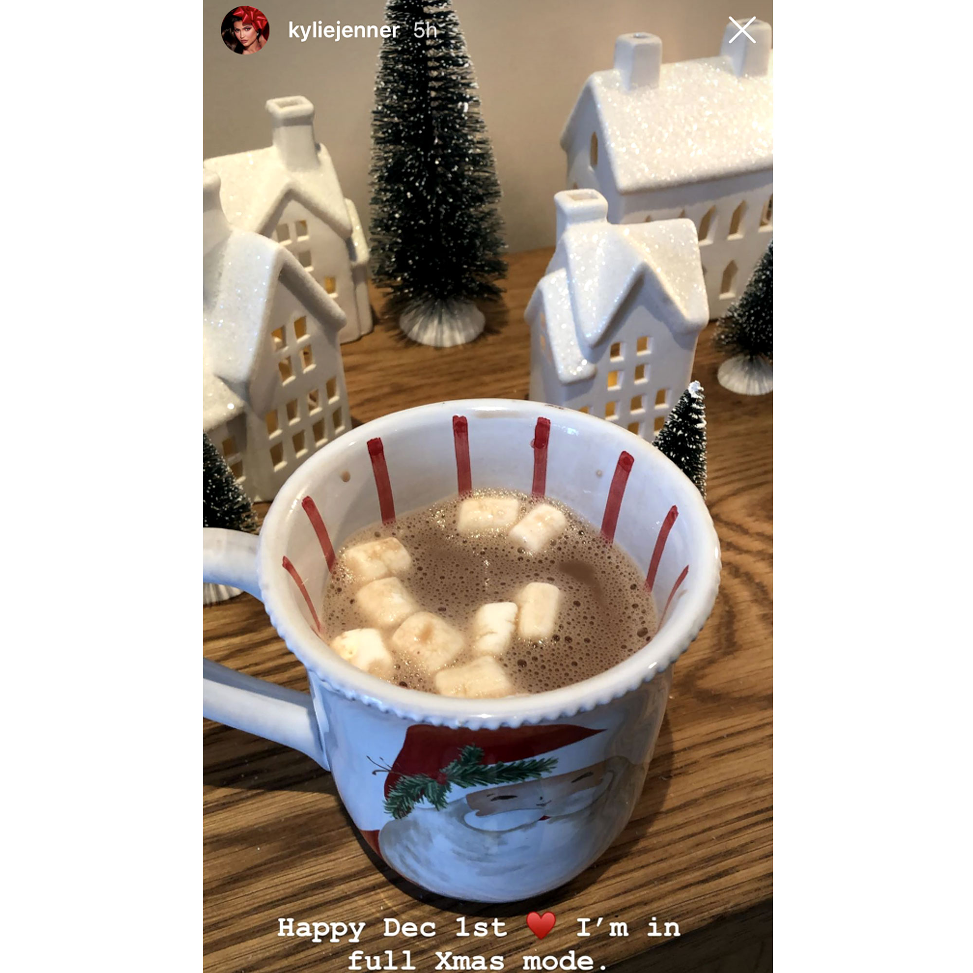 Kylie Jenner Is In Full Xmas Mode See Her Homemade Food More