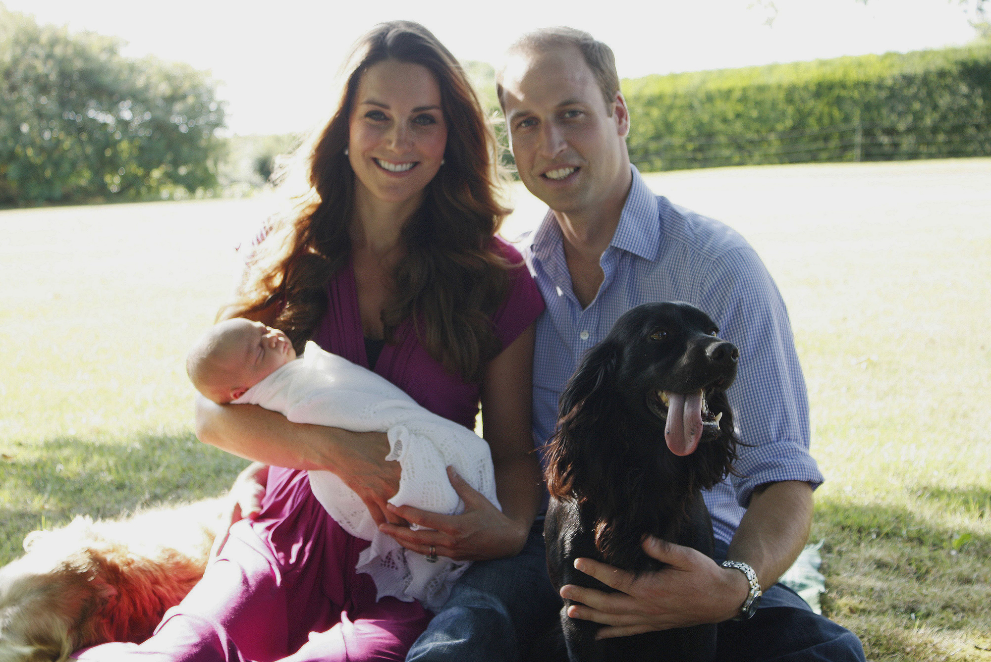 Duchess Kate and Prince William's Dog Lupo: A Quick History | Us Weekly