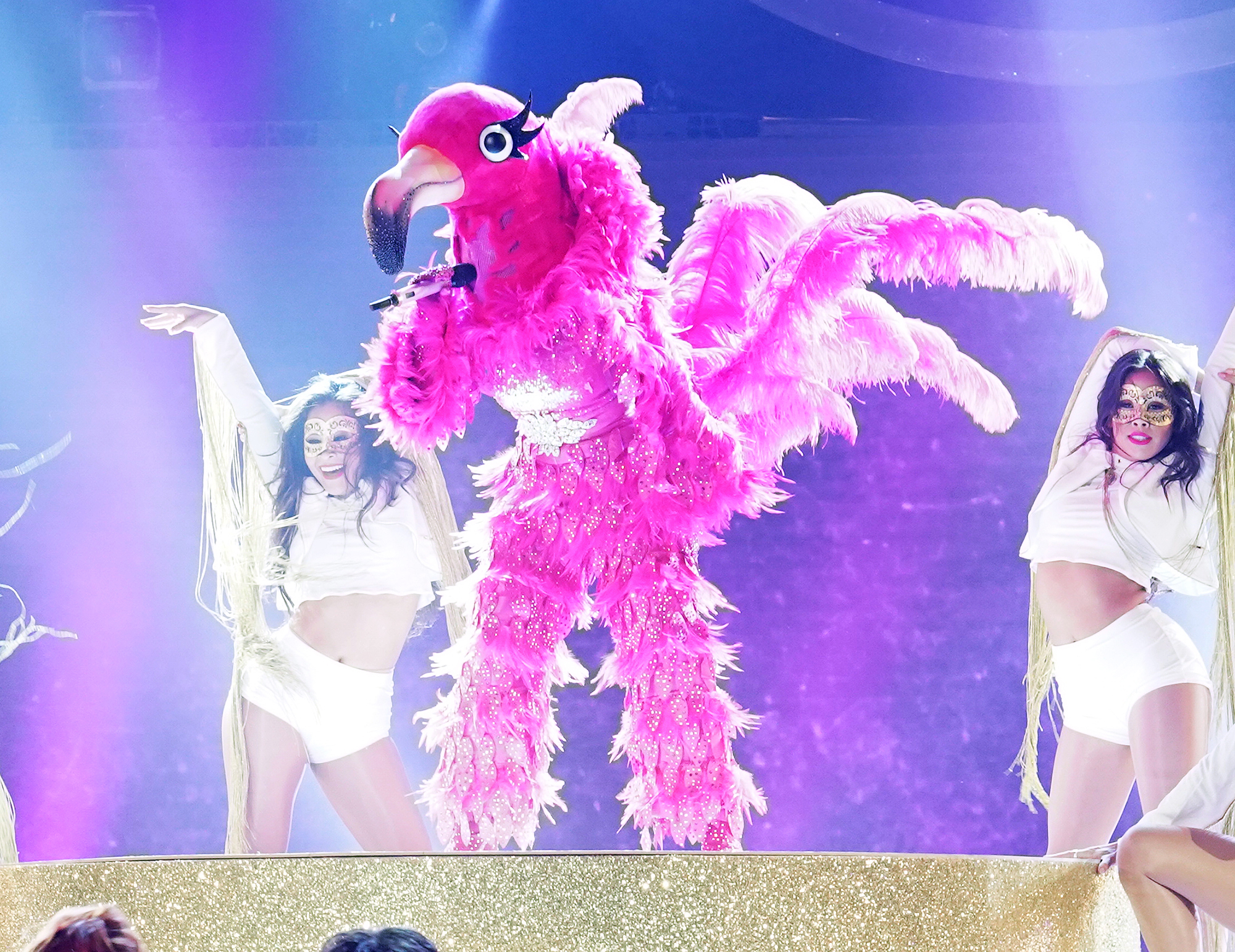 the flamingo the masked singer