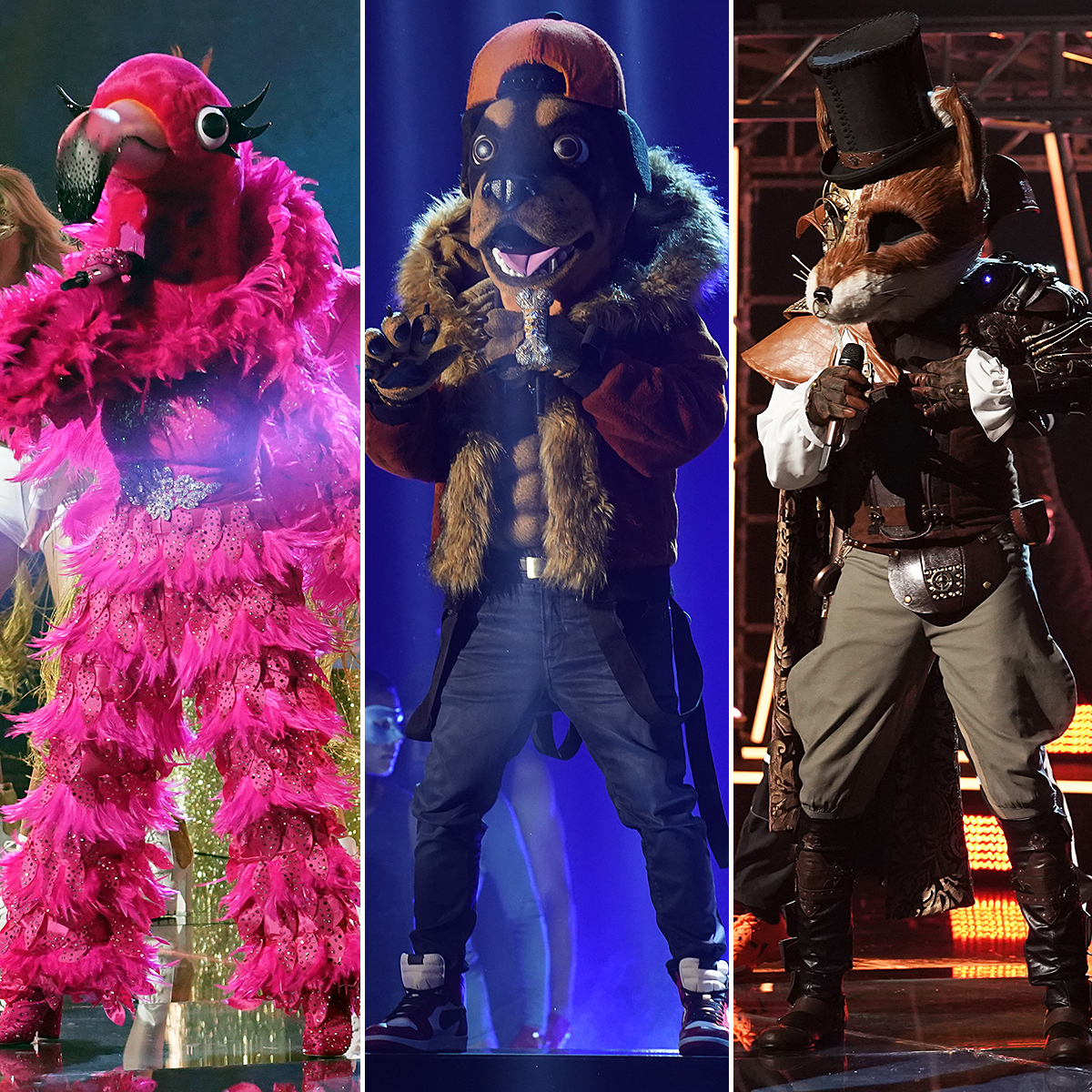 Who Won 'Masked Singer'? Fox, Flamingo, Rottweiler Revealed Us Weekly