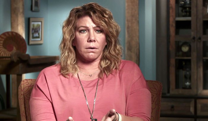 Sister Wives’ Meri Brown Struggles to Get Family to Help Her Move | Us ...