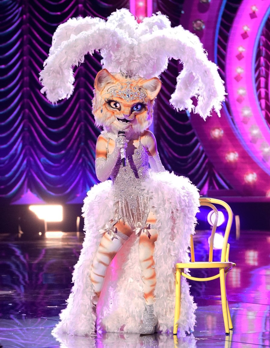 'The Masked Singer' Introduces 6 New Characters All the Clues