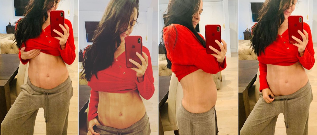 Nikki Bella and sister Brie flaunt their toned midriffs as they go shopping  for baby clothes in LA