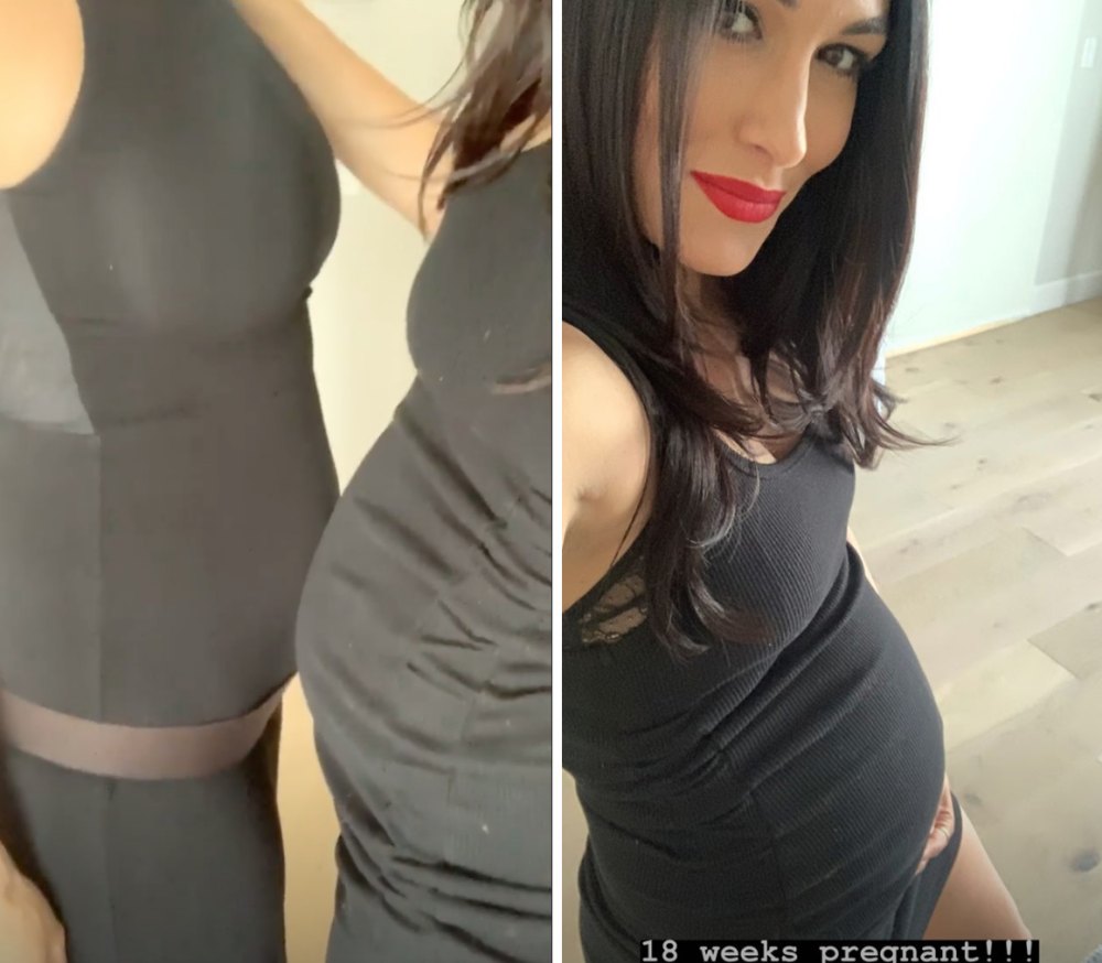 Nikki & Brie Bella's Pregnancy Style: Photos Of Their Maternity Looks –  Hollywood Life