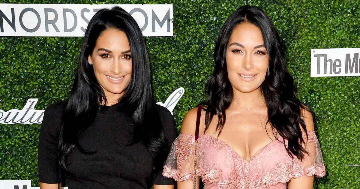 Nikki Bella, Brie Bella Say Being Pregnant and Quarantined Is 'Tough ...