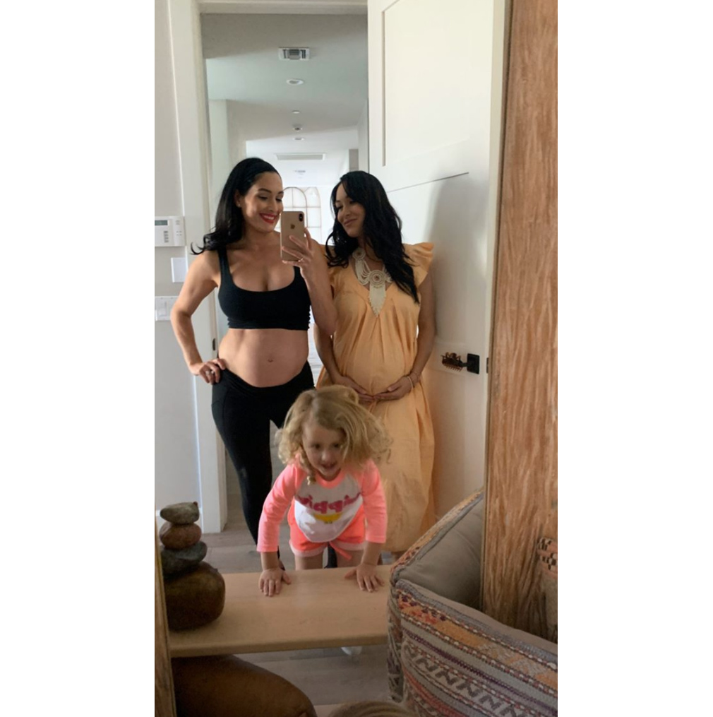 Nikki & Brie Bella Reveal Their 'Biggest' Pregnancy Craving: Photo 4442796, Brie Bella, Nikki Bella, Pregnant Celebrities Photos