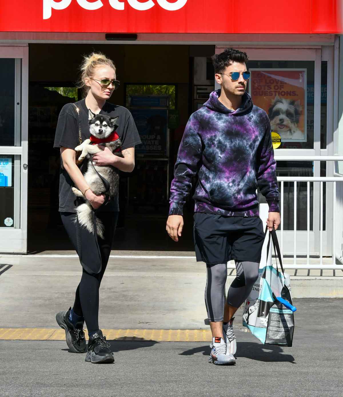 Joe Jonas & Sophie Turner Step Out to Walk Their Dogs Amid Quarantine:  Photo 4455059, Joe Jonas, Pregnant Celebrities, Sophie Turner Photos