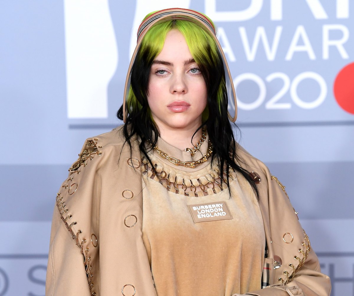 Billie Eilish Claps Back After Body Shamers Slam Tame Bikini Pic 