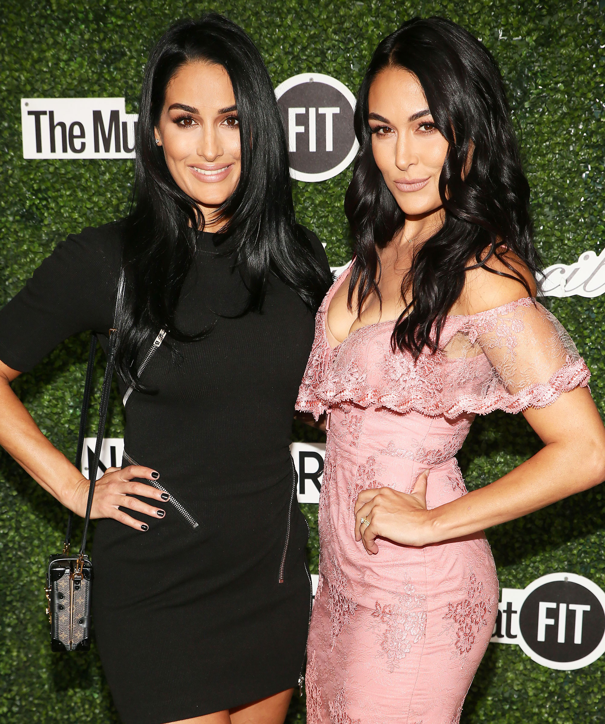 List 90 Pictures Pictures Of Nikki And Brie Bella Excellent