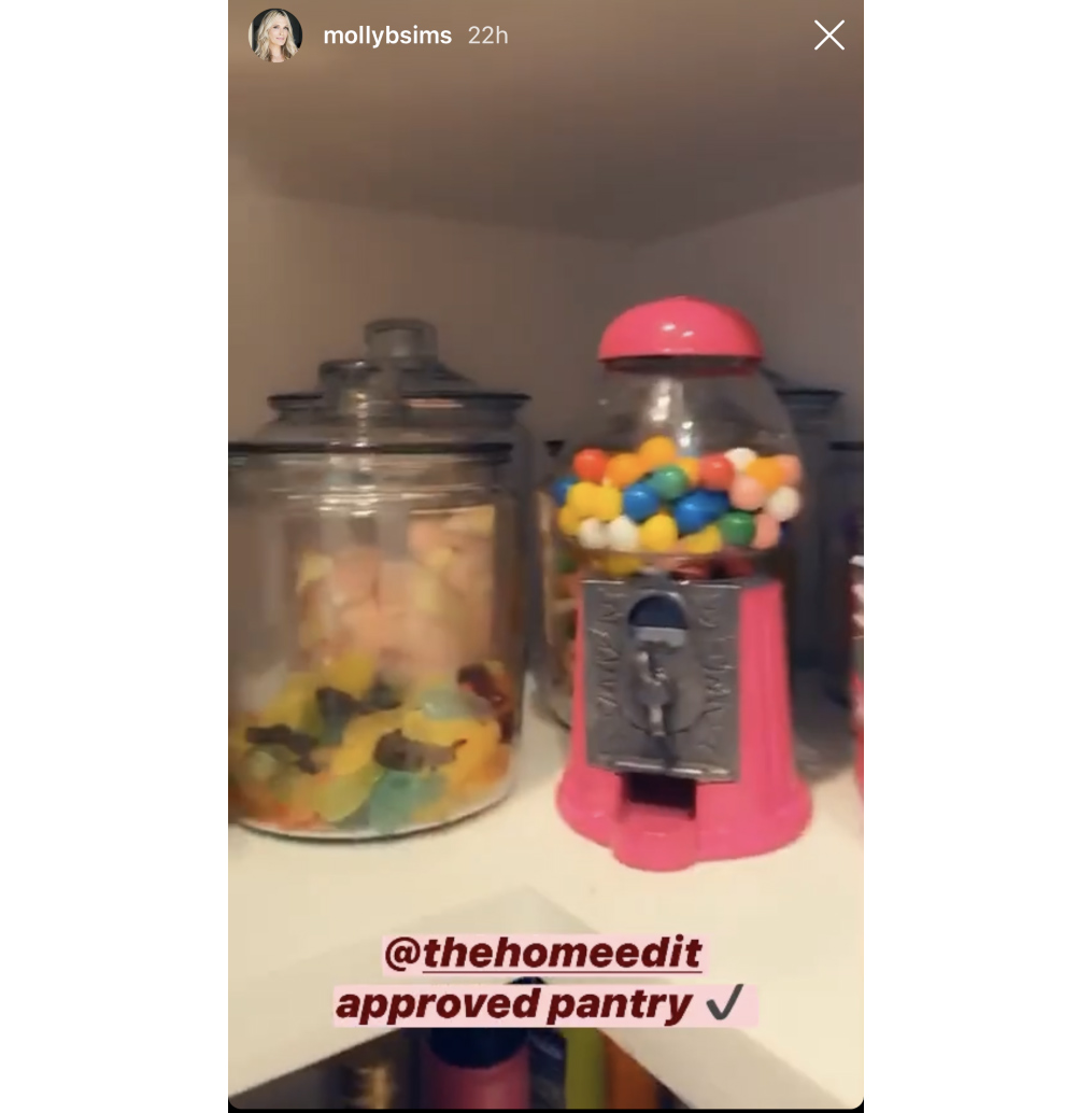 Molly Sims Shares a Peek Inside Her Pantry, Refrigerator: Pics