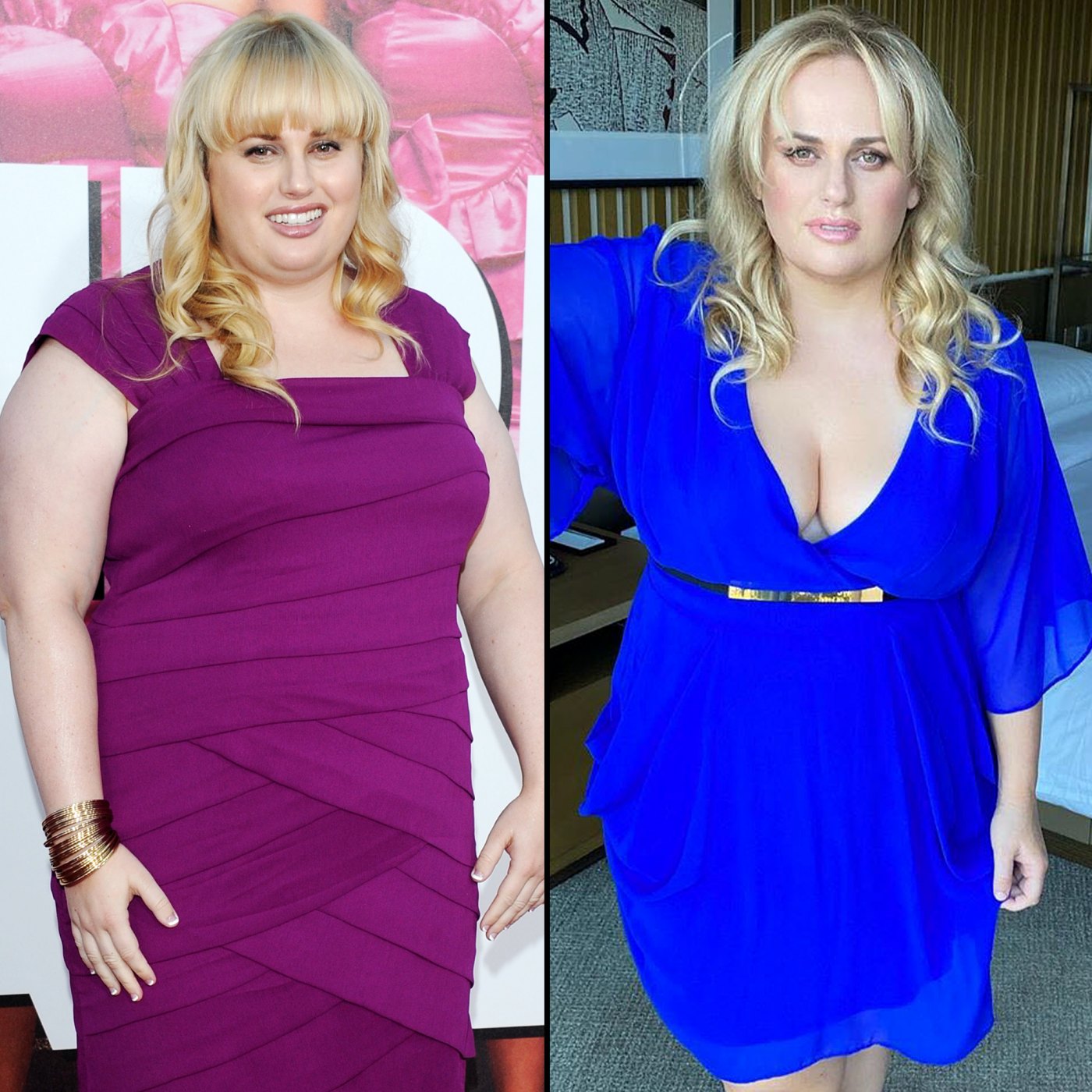 Rebel Wilson's Transformation Through the Years Photos